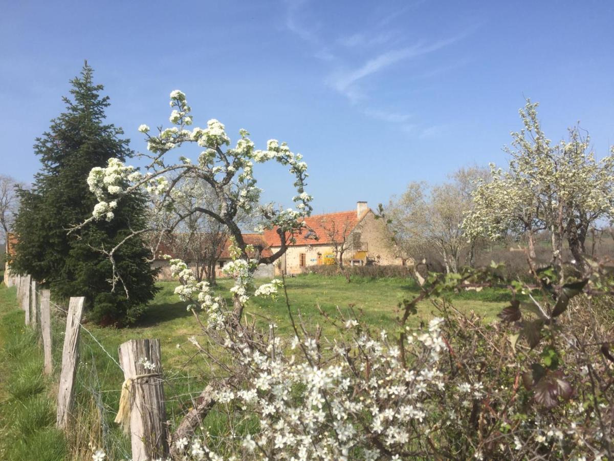 Chambres D'Hotes Domaine Les Grands Perons Hérisson エクステリア 写真